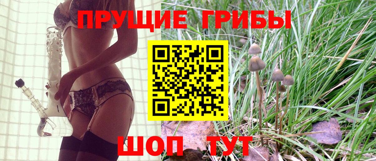 Камень-на-Оби  Псилоцибиновые грибы Magic Shrooms  Псилоцибиновые грибы мицелий  где продают наркотики  Вход с VPN 